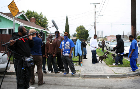 Farm Dog Compton Crips