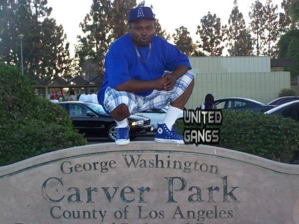 Carver Park Compton Crips