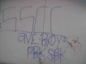 South Side Compton Crips